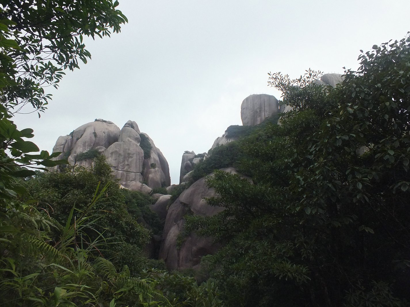 DSCF1932.JPG