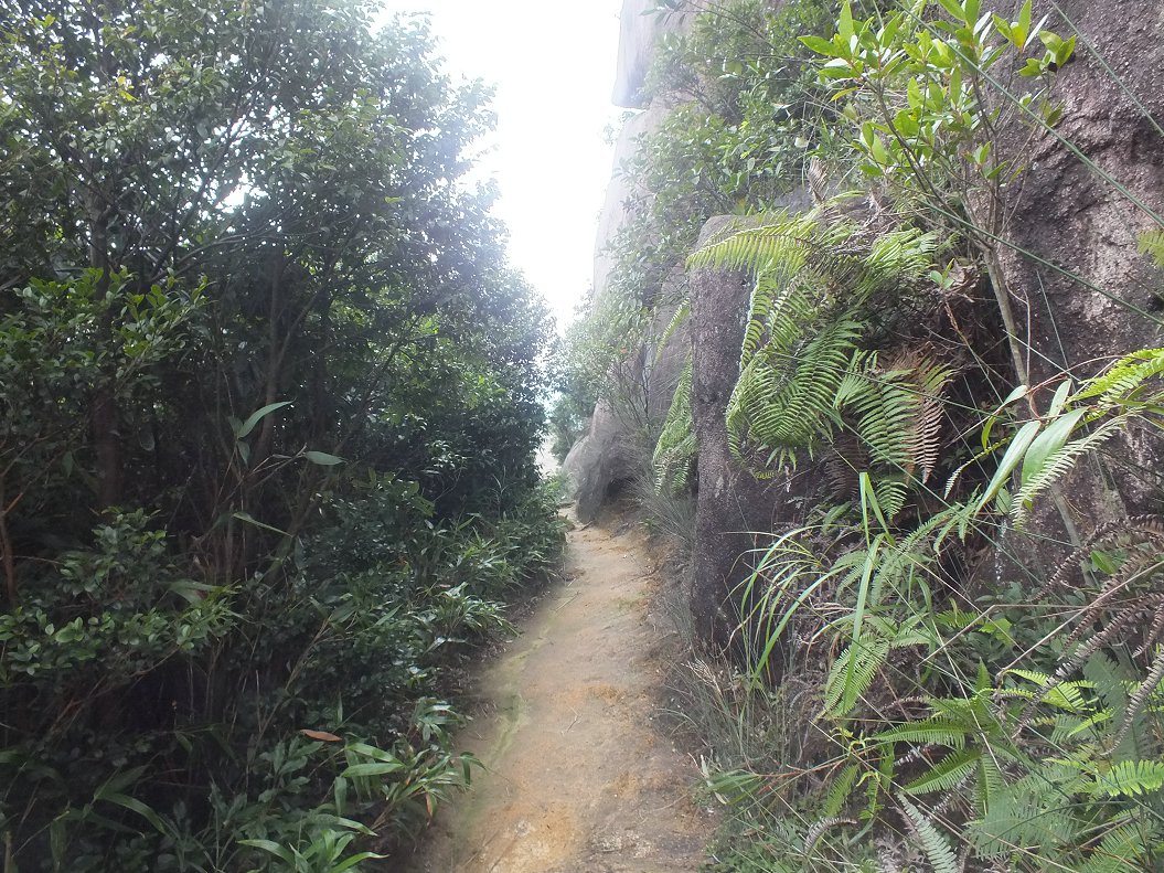 DSCF1941.JPG