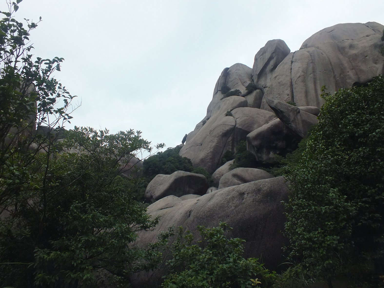 DSCF1948.JPG