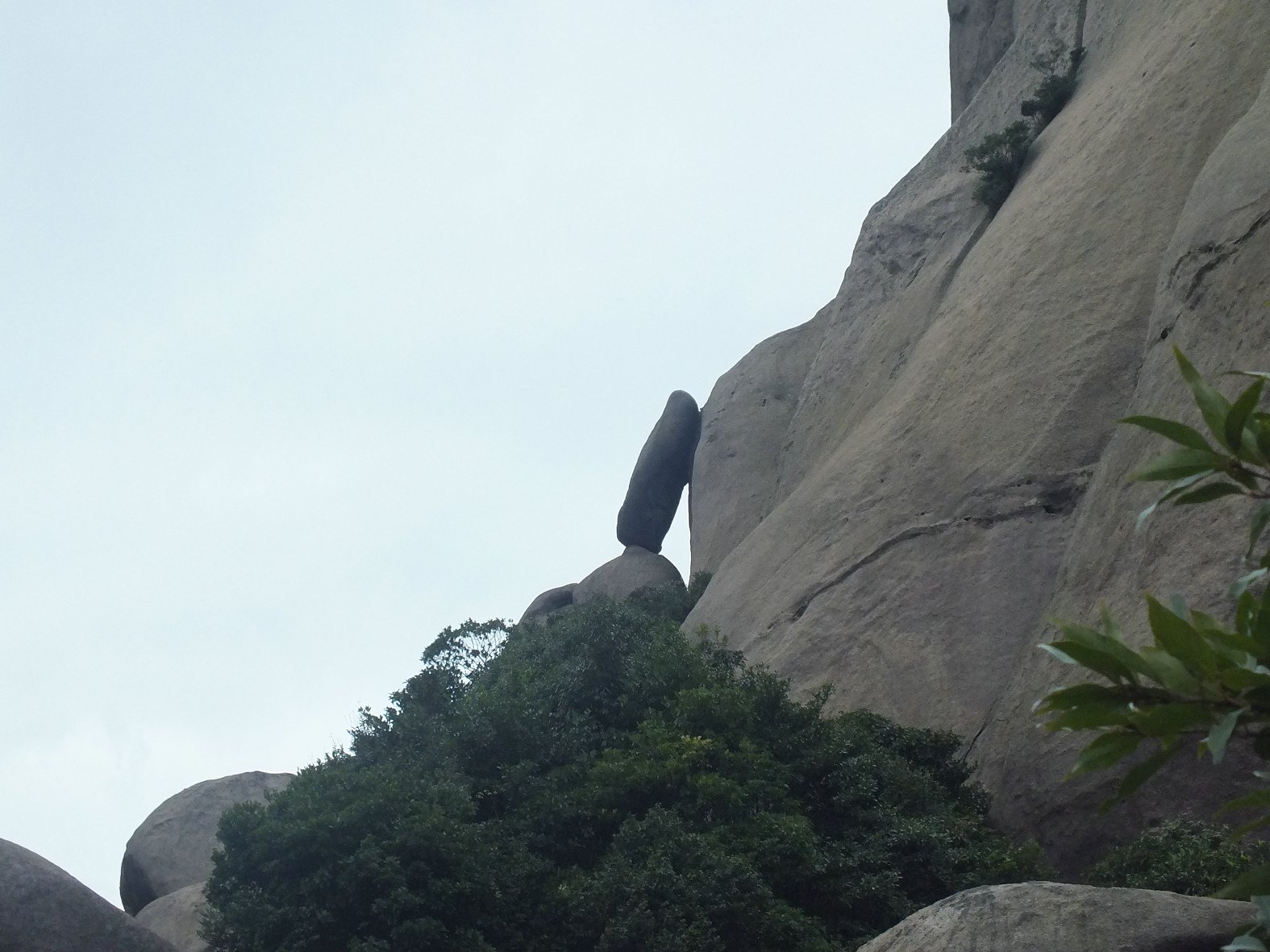 DSCF1950.JPG