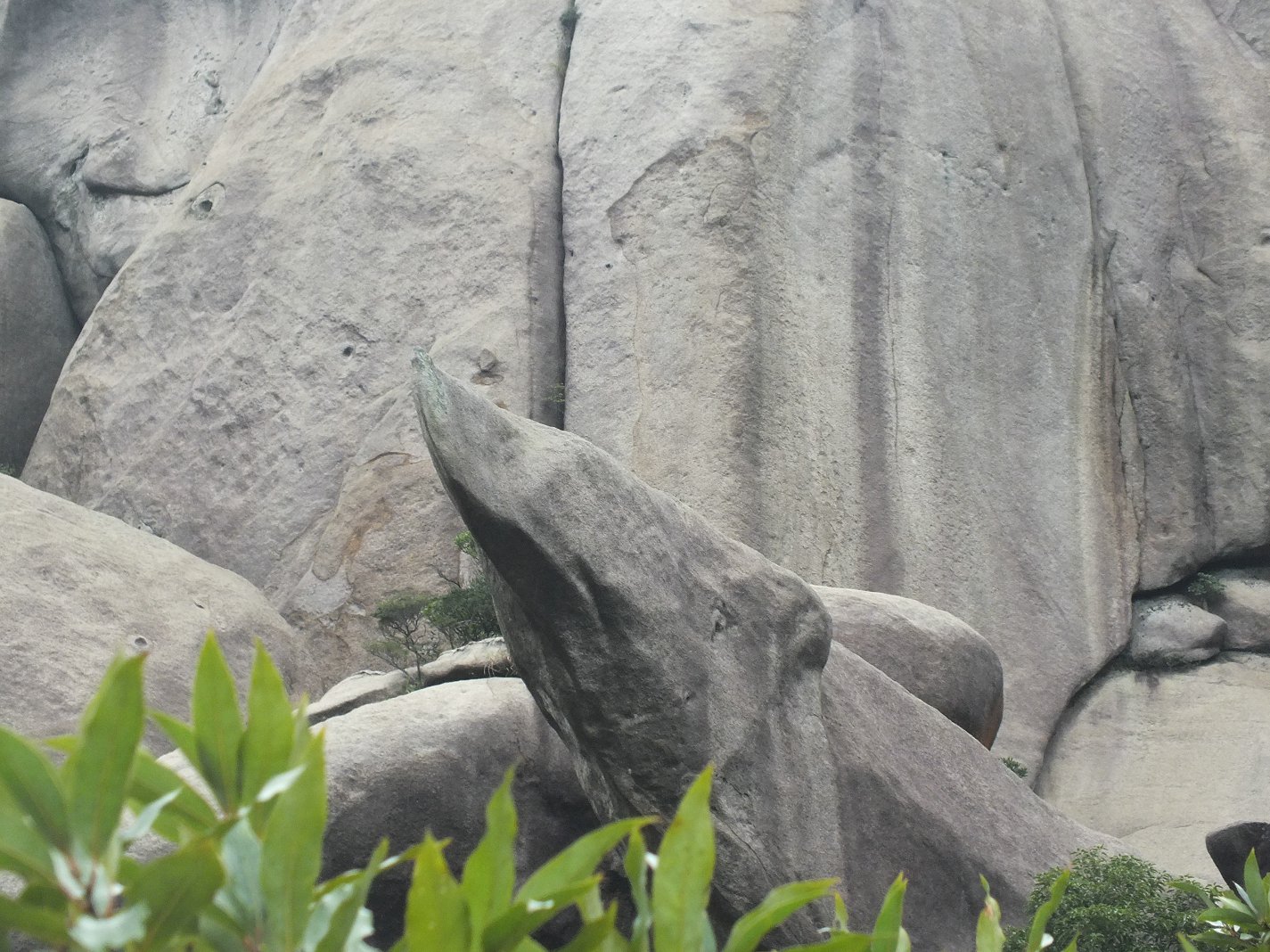 DSCF1951.JPG