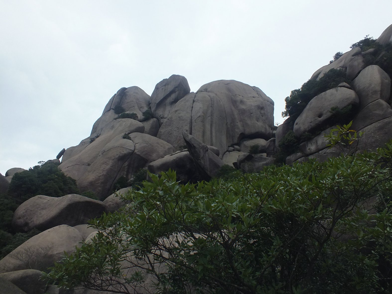 DSCF1952.JPG