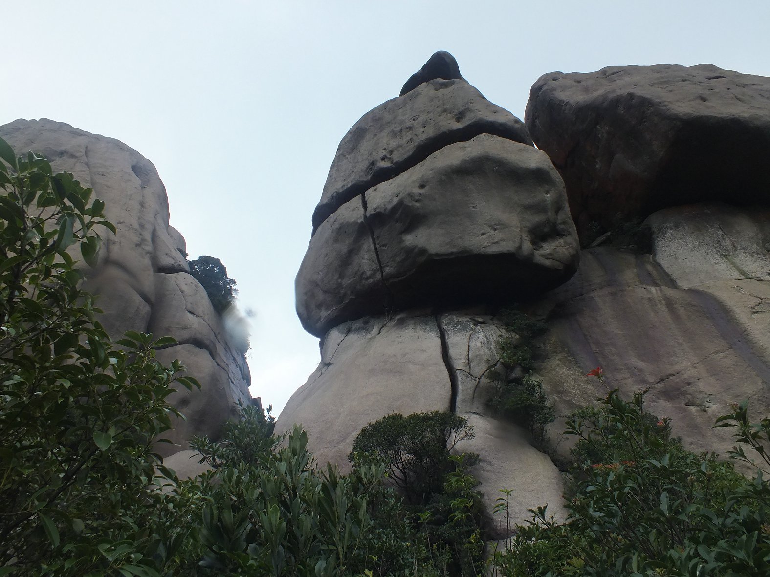 DSCF1958.JPG
