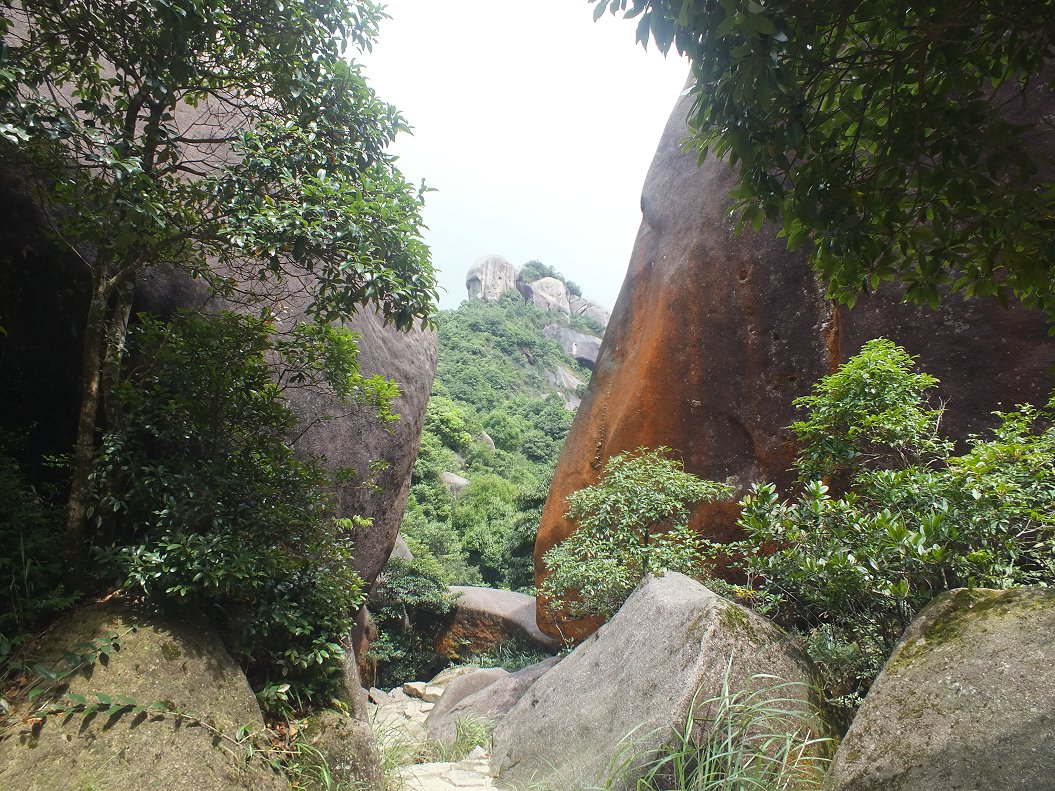 DSCF1968.JPG