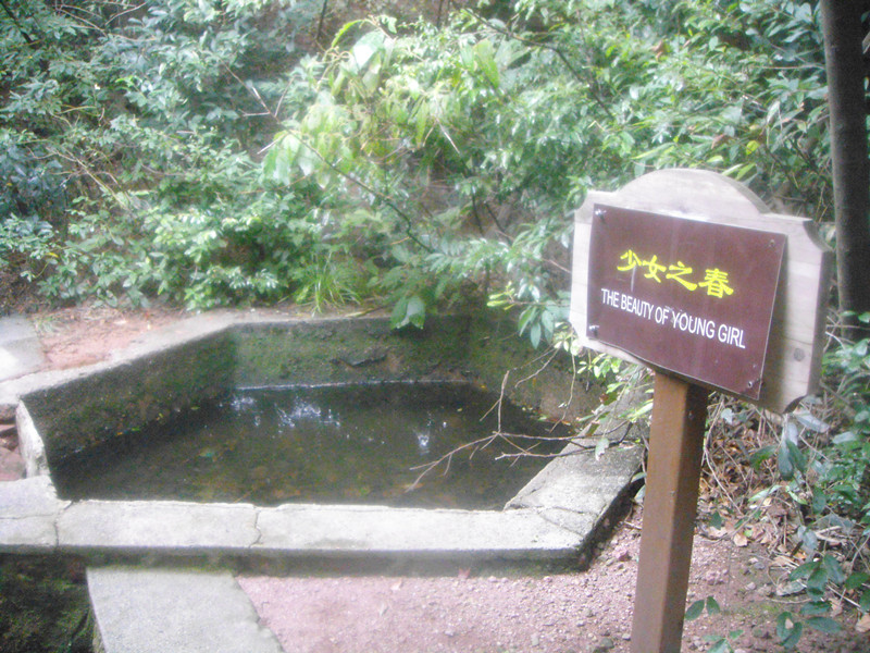 DSC03631.jpg