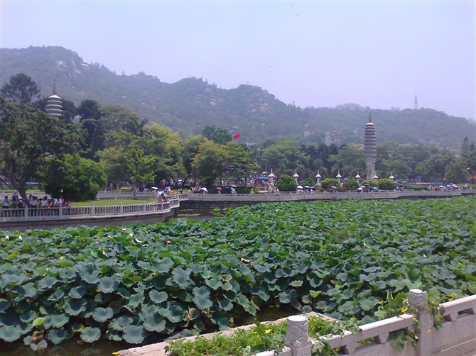 普陀寺前的莲池.jpg
