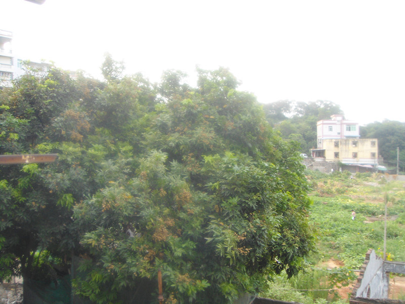 DSC03223.jpg