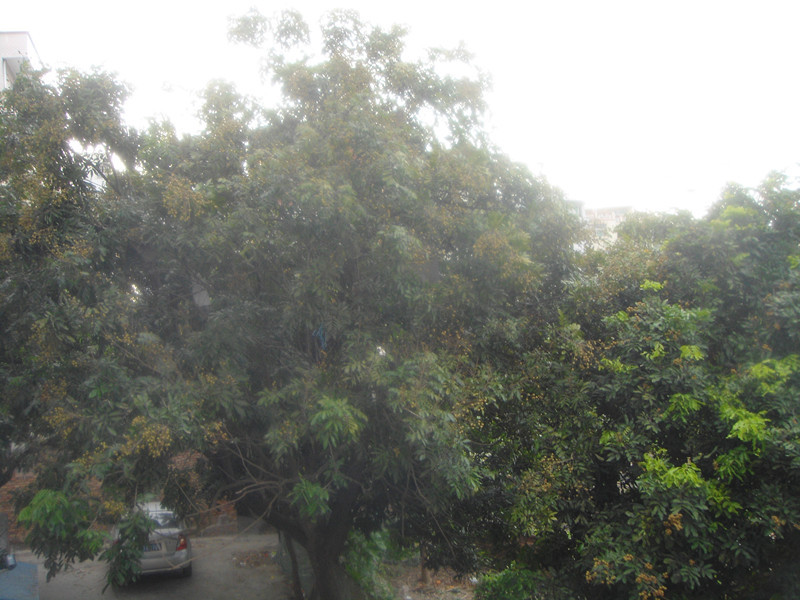 DSC03230.jpg