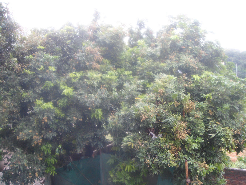 DSC03233.jpg
