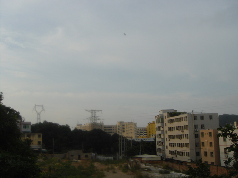 DSC03234.jpg