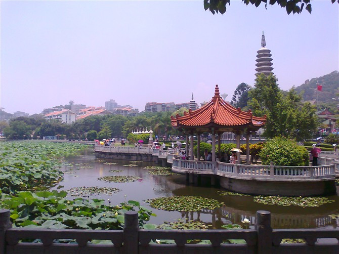 普陀寺莲池.jpg