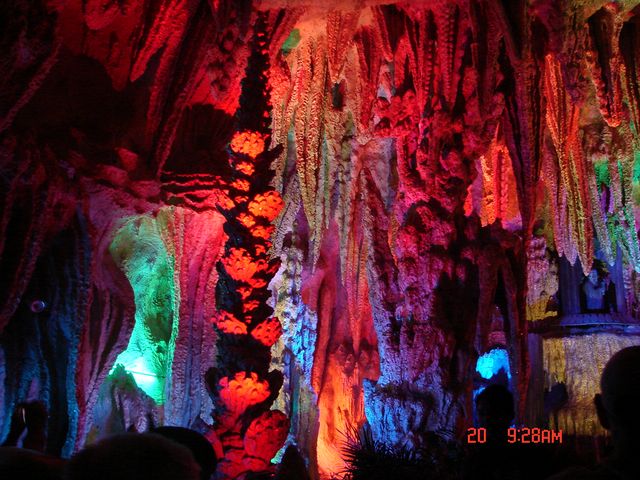 DSC09297.JPG