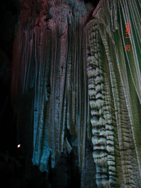DSC09367.JPG