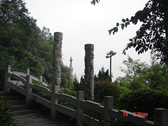 DSC09121.JPG