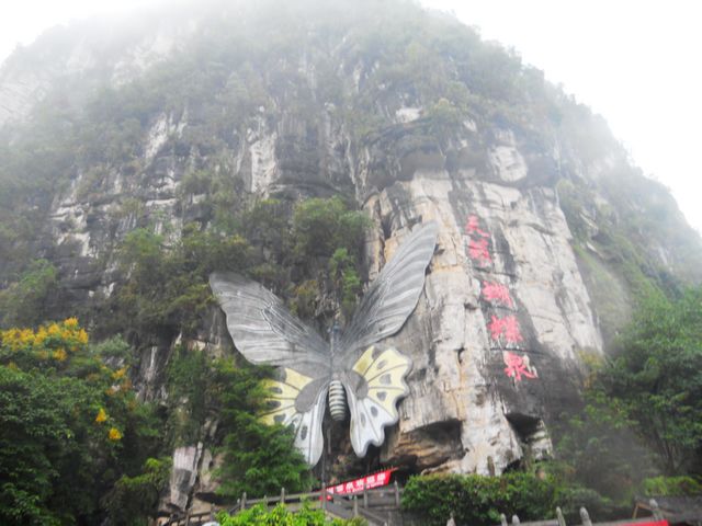 蝴蝶泉