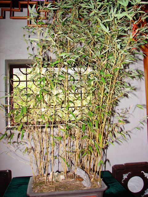DSC09728.JPG