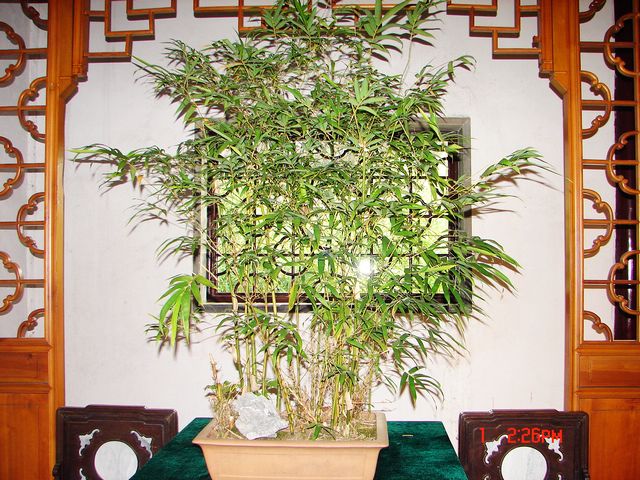 DSC09734.JPG