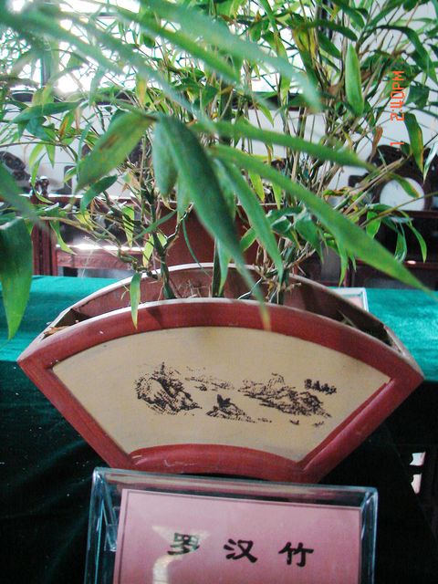 DSC09773.JPG
