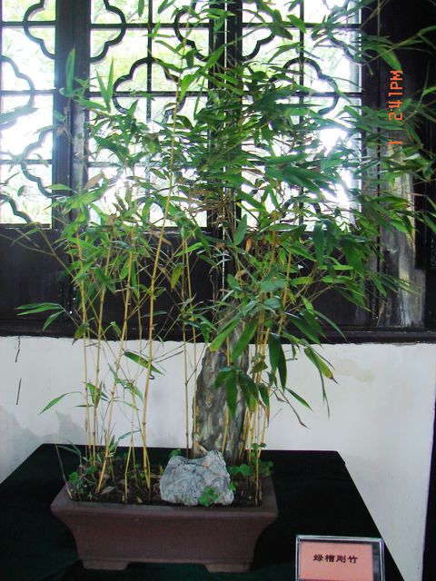 DSC09777.JPG