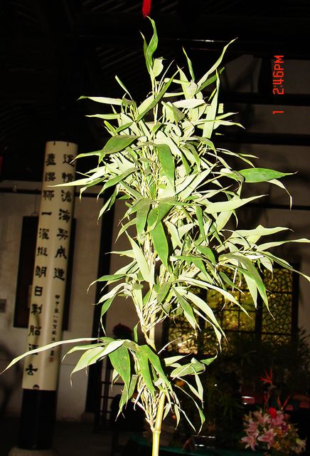 DSC09792.JPG