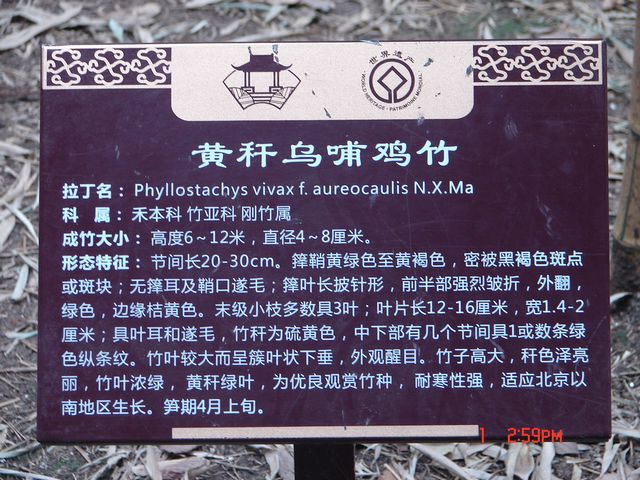 DSC09808.JPG