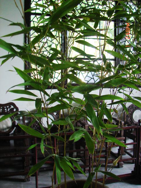 DSC09798.JPG