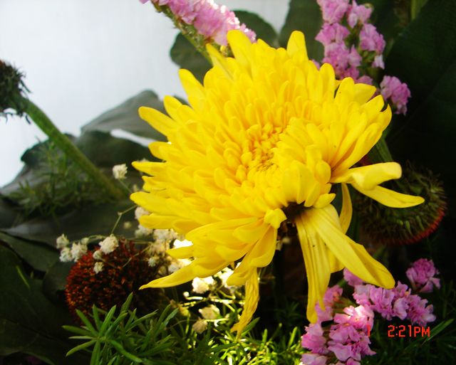 DSC09718.JPG