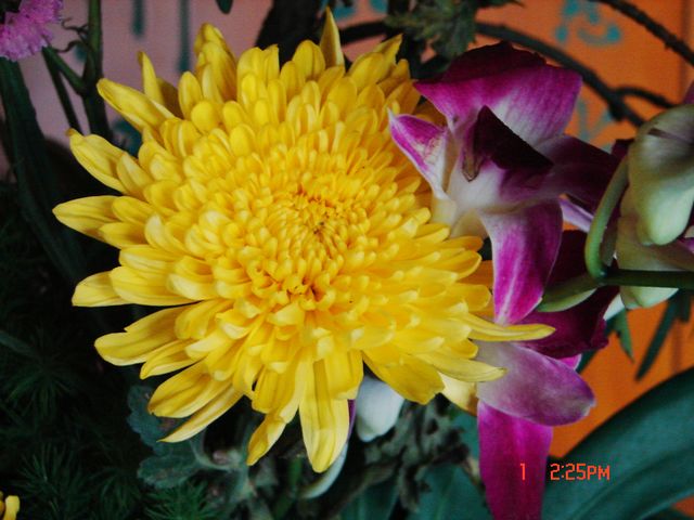 DSC09730.JPG