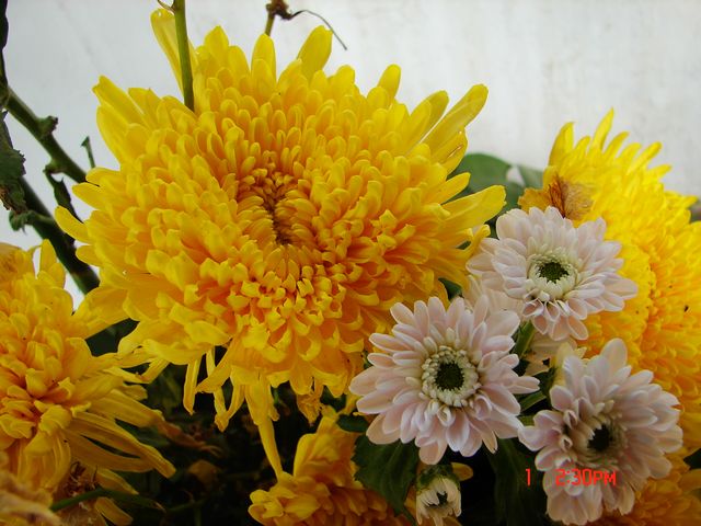 DSC09749.JPG