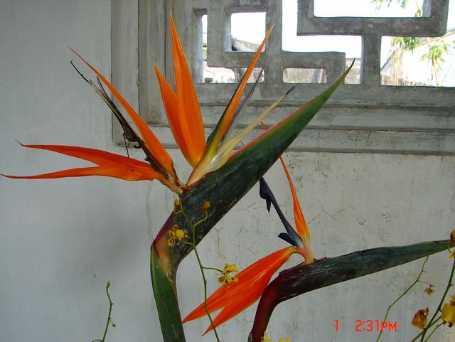 DSC09751.JPG