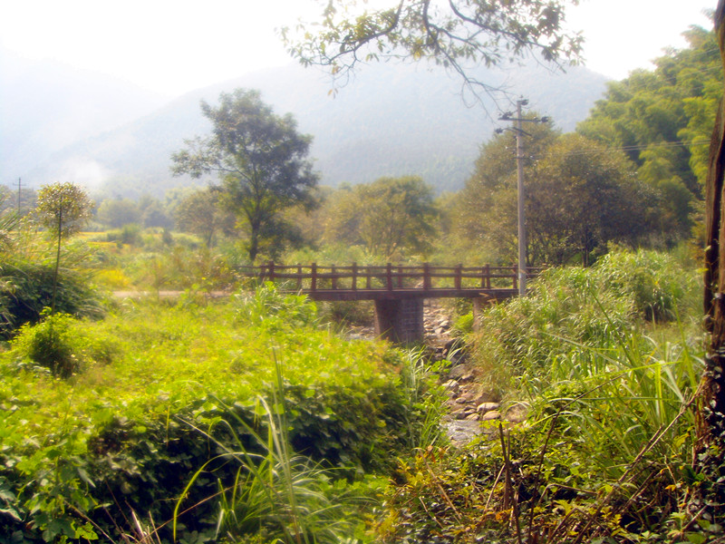 DSC03836.JPG