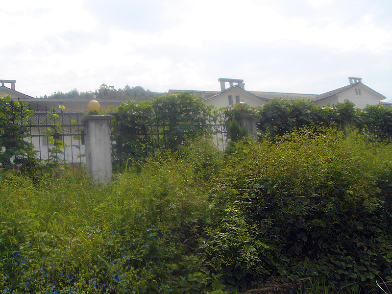 DSC03827.JPG