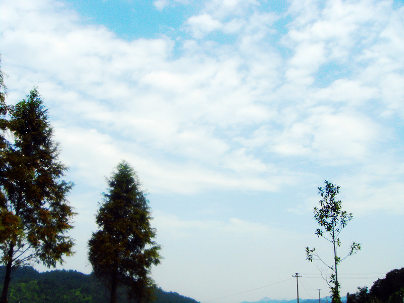 DSC03829.JPG