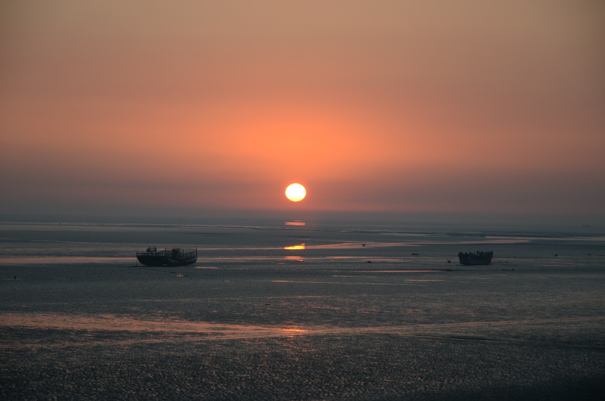 BigBull_DSC_4235.JPG