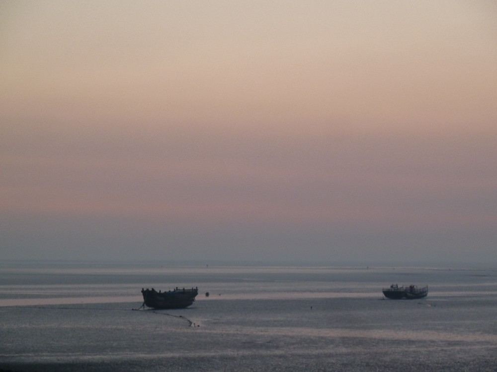 BigBull_P1130919.JPG