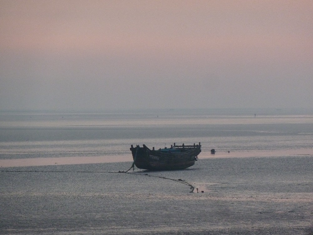 BigBull_P1130920.JPG