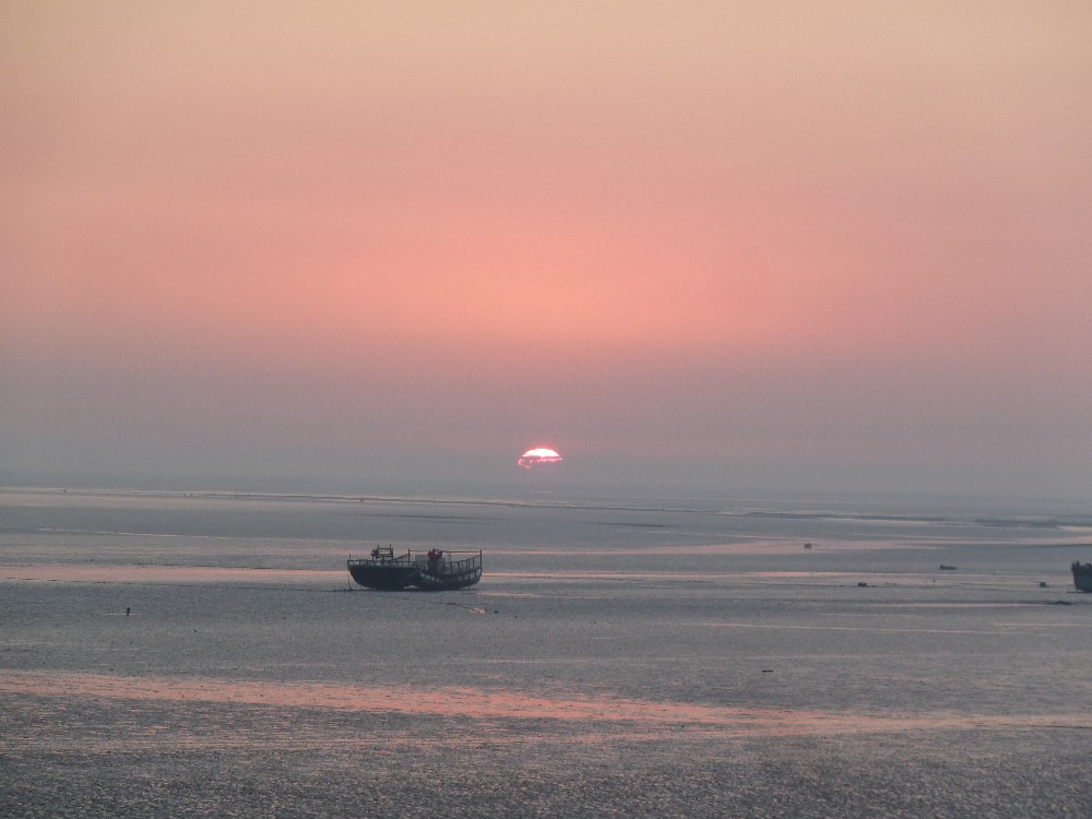 BigBull_P1130928.JPG