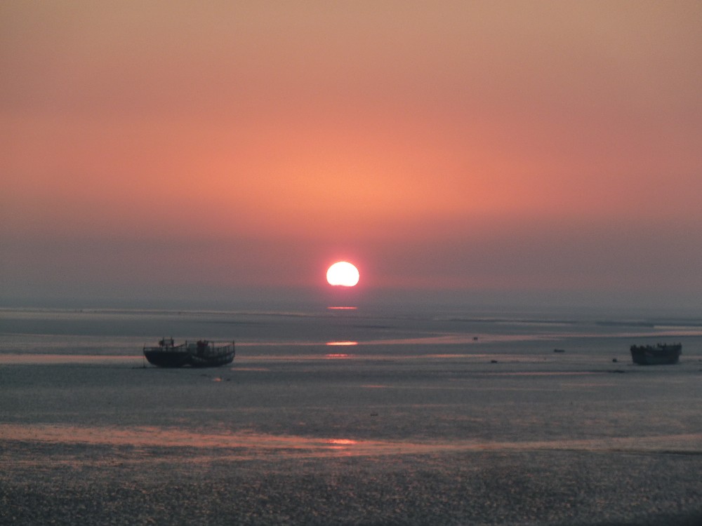 BigBull_P1130939.JPG