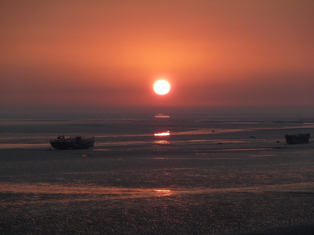 BigBull_P1130955.JPG