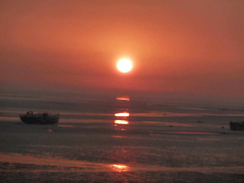 BigBull_P1130961.JPG
