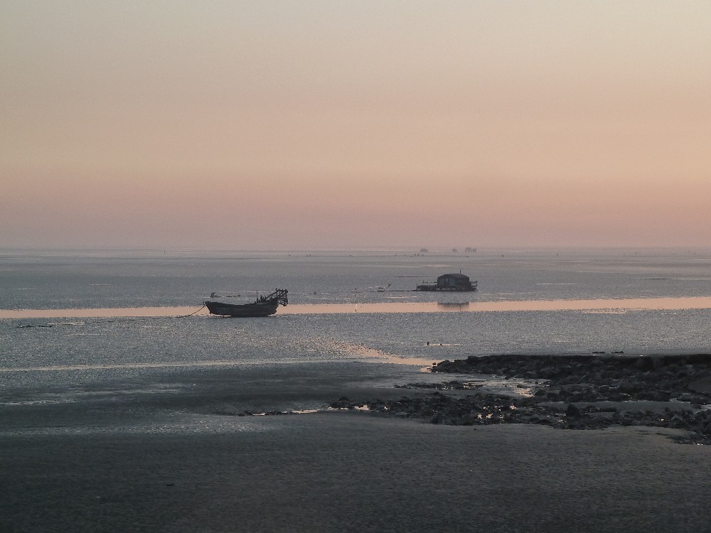 BigBull_P1130970.JPG