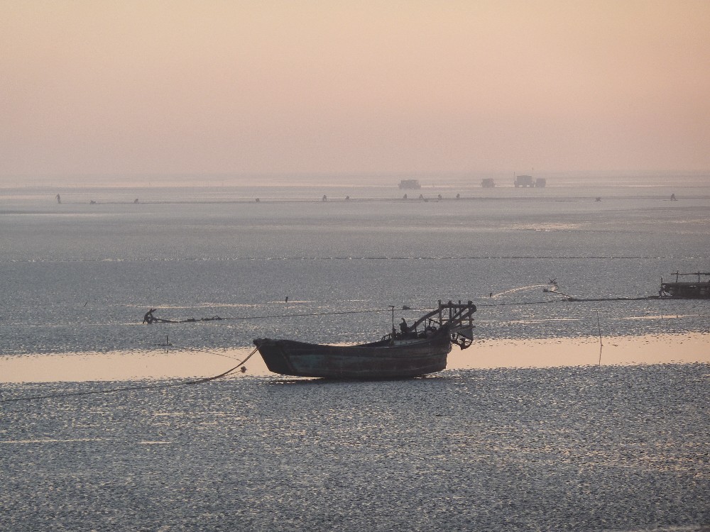 BigBull_P1130977.JPG