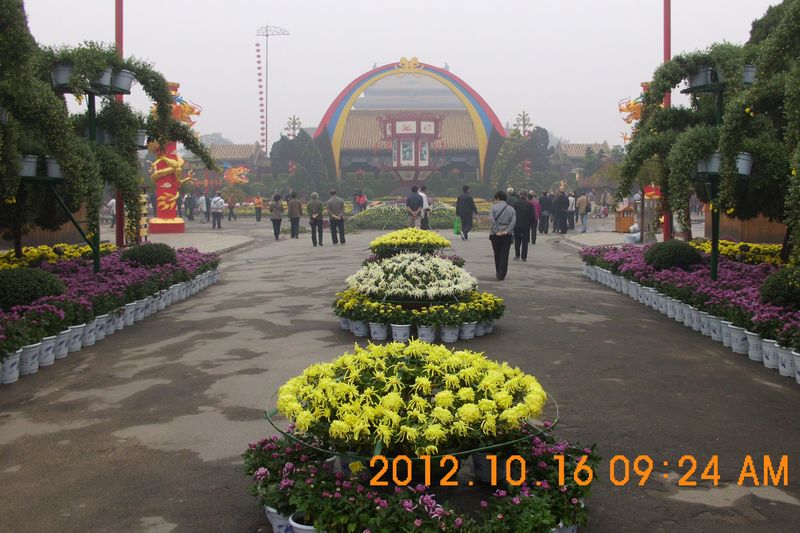 DSCI7458.JPG