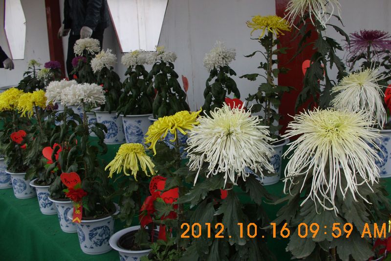 DSCI7495.JPG
