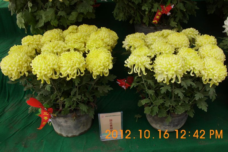 DSCI7632.JPG
