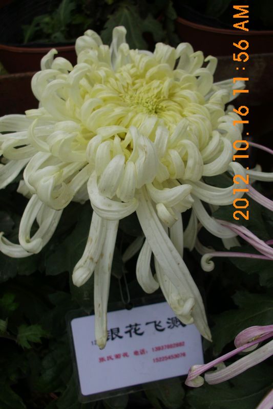 DSCI7586.JPG