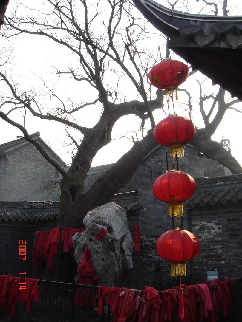 DSC01453.JPG