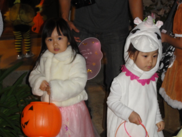 DSC04600.JPG