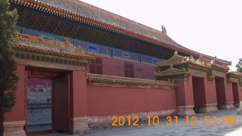 DSCI8262.JPG