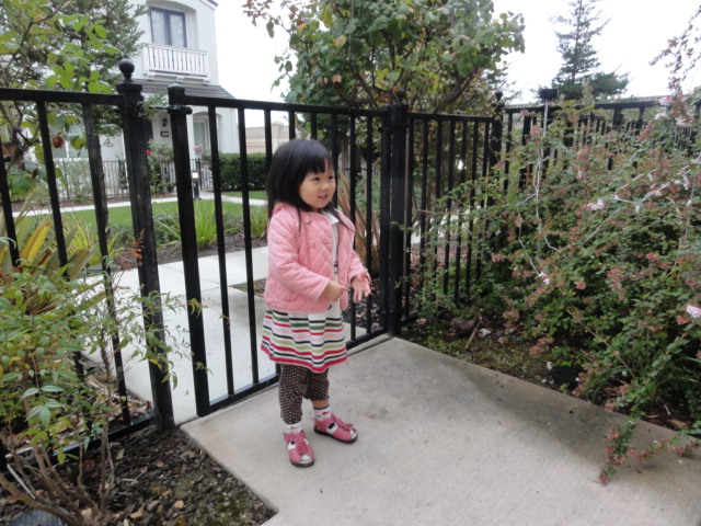 DSC04529.JPG